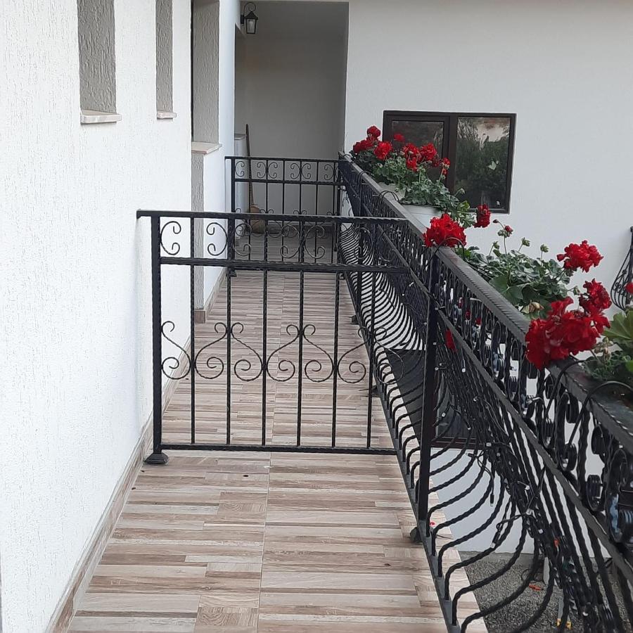 Hotel Casa Dana Olteanu Moeciu De Sus Exteriér fotografie