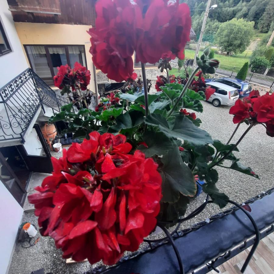 Hotel Casa Dana Olteanu Moeciu De Sus Exteriér fotografie