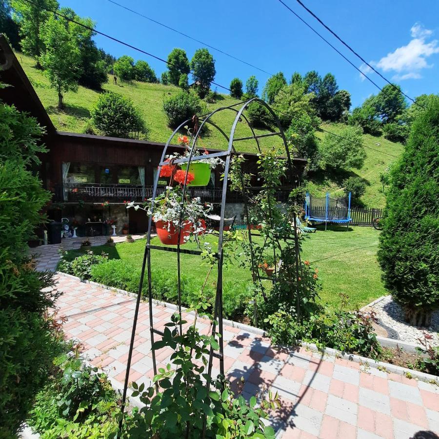 Hotel Casa Dana Olteanu Moeciu De Sus Exteriér fotografie